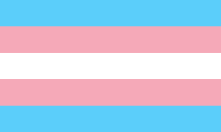 1024px-Transgender_Pride_flag.svg